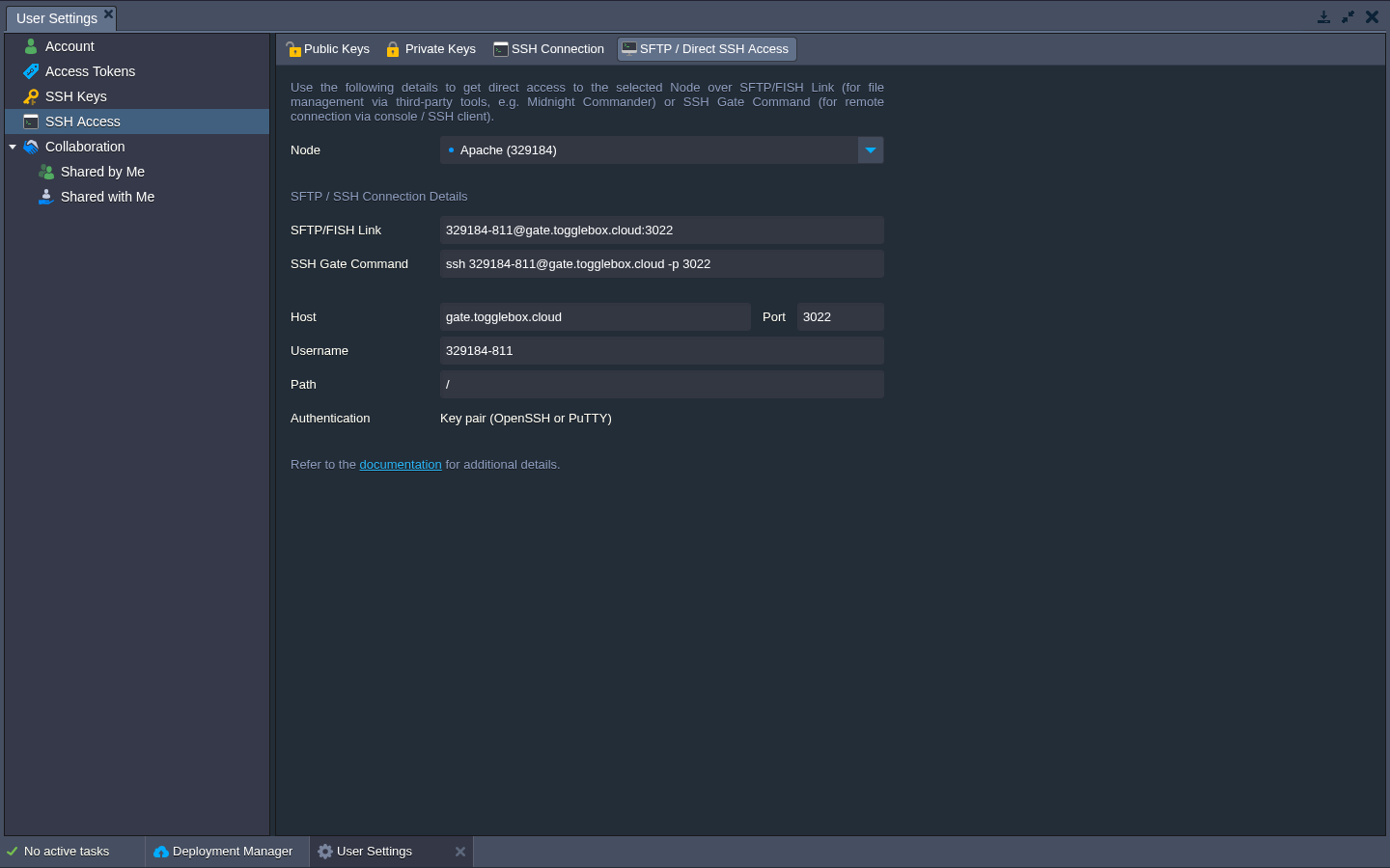 App Hosting node-specific SSH and SFTP connection details